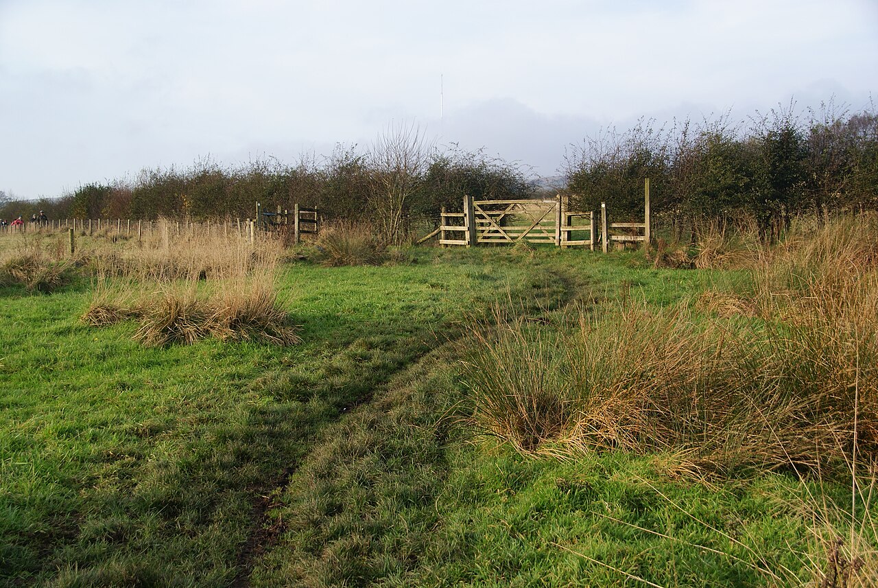 marcheur sur sentier