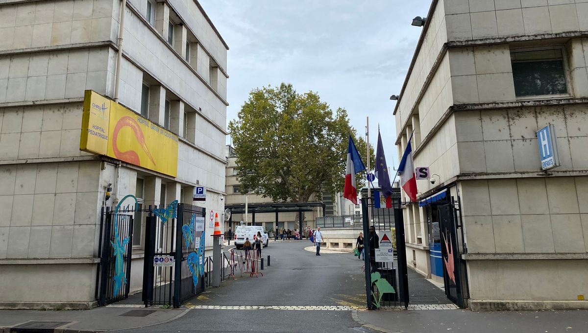 Manifestants réunis lors d'une grève, pancartes en main