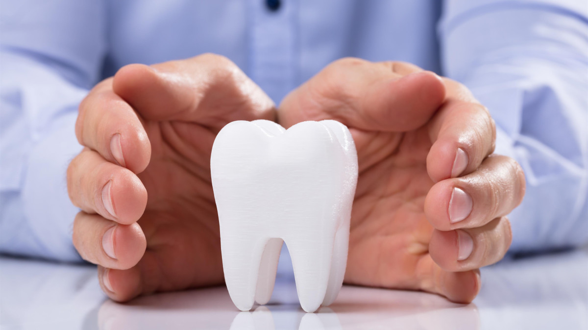 Schéma d'une arcade dentaire adulte indiquant le nom des dents et leur numérotation